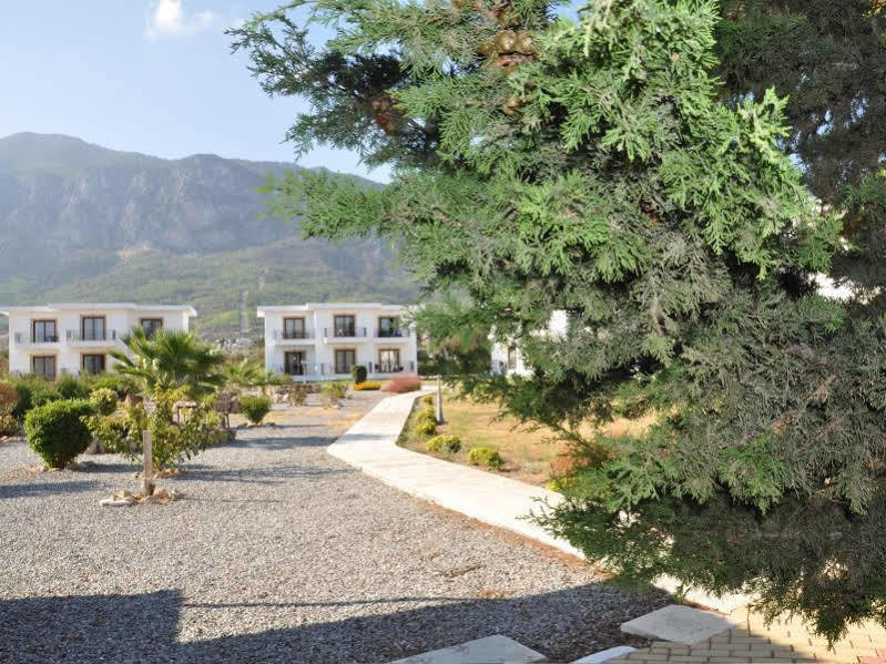Sempati Hotel Lapta Dış mekan fotoğraf